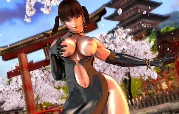 Грудь, sakura, Dead or Alive, Lei Fang