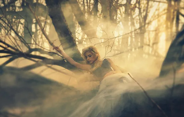 Картинка лес, девушка, туман