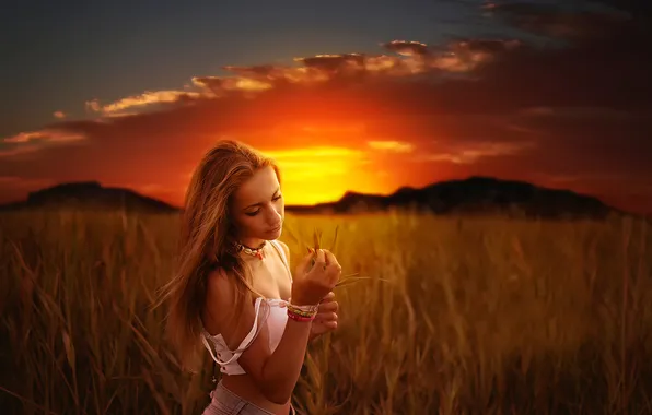 Картинка поле, девушка, солнце, закат