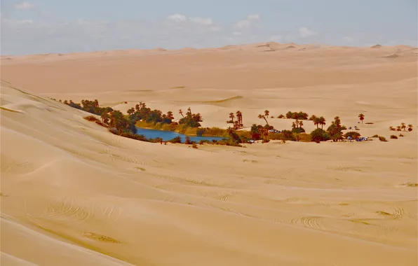 Песок, дом, пальма, пустыня, оазис