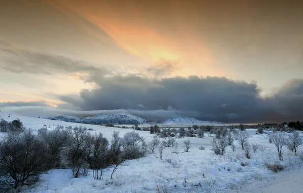 Картинка пейзаж, природа, Frosty morning