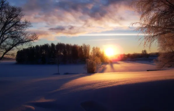 Картинка зима, солнце, Dark Winter
