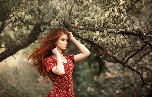 Девушка, ветки, поза, дерево, волосы, руки, рыжая, яблоня