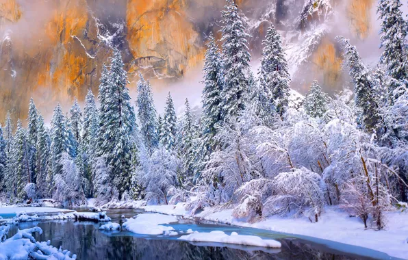 Картинка зима, лес, снег, горы, река, скалы, США, штат Калифорния