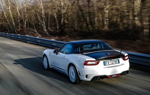 Крыша, родстер, спайдер, чёрно-белый, Abarth, 124 Spider, 2019, Rally Tribute