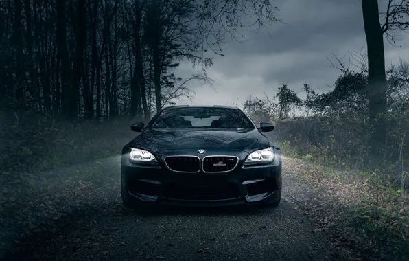 Картинка BMW, Dark, AC Schnitzer, Fog, Forest, Horses