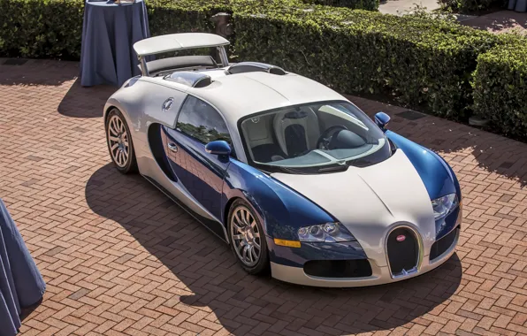 Картинка chrome, white, veyron, blue, bugatti