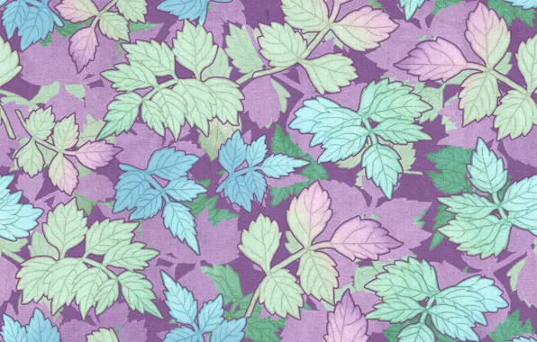 Листья, фон, голубой, colorful, салатовый