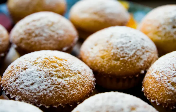 Еда, cake, выпечка, кекс, пудра, baking, маффин, muffin