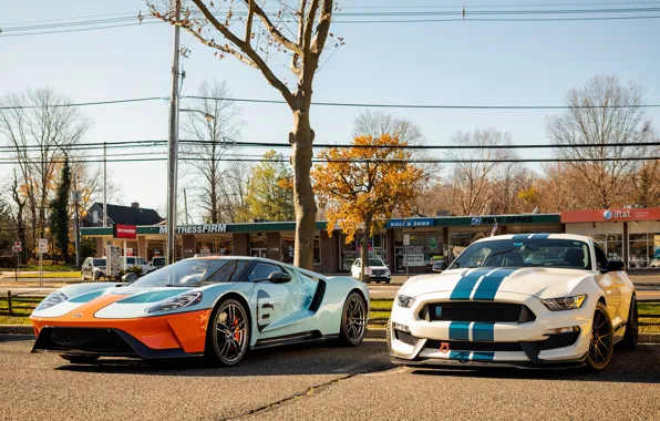 Ford, Shelby, GT, Mustang GT350