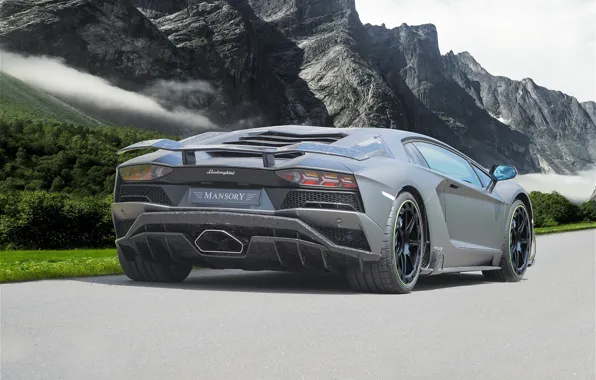 Lamborghini, суперкар, вид сзади, 2018, Mansory, Aventador S