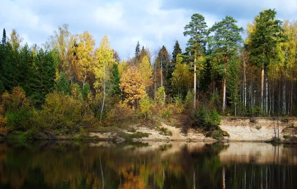 Картинка осень, вода, деревья