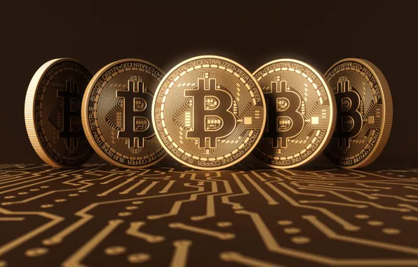 Money, coin, bitcoin