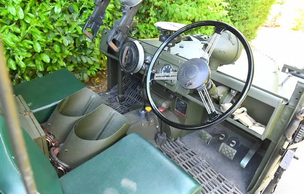 Land Rover, 1955, единственный экземпляр, the only instance, Land Rover SAS series I