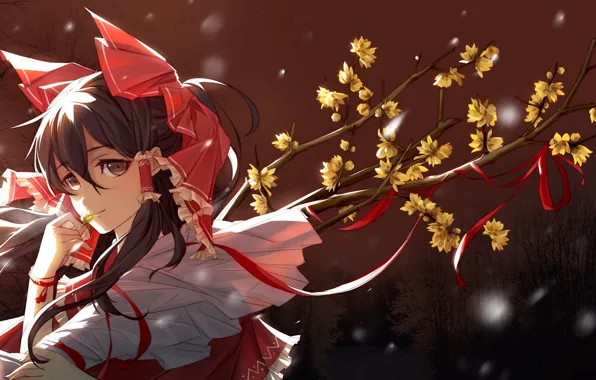 Лицо, ветка, браслет, бант, цветение, touhou, челка, Hakurei Reimu