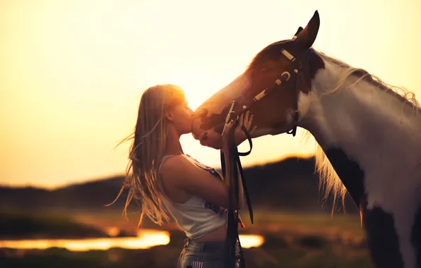Девушка, закат, лошадь, дружба, Horse