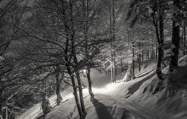Картинка зима, снег, ночь