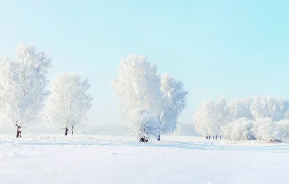 Зима, снег, деревья, природа