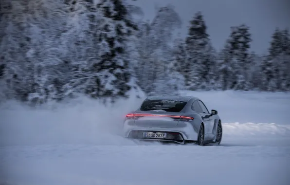 Картинка дорога, снег, деревья, серый, Porsche, сзади, 2020, Taycan