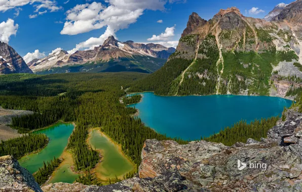 Картинка деревья, горы, природа, Канада, Британская Колумбия, озеро О'Хара, Национальный парк Йохо