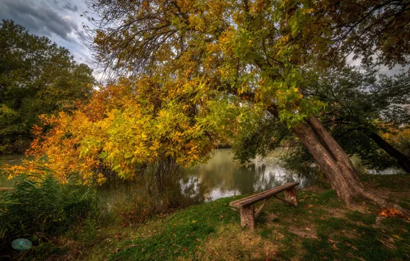 Картинка осень, деревья, пейзаж, природа, берег, лавка, водоём, Александр Плеханов