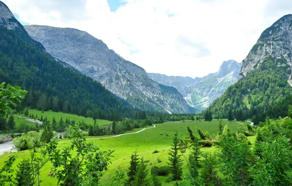 Картинка деревья, пейзаж, Австрия, лес., Austria, Тироль, гры, Tyrol