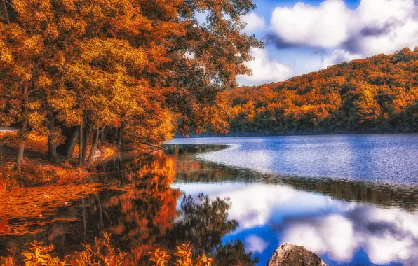 Картинка осень, лес, листья, деревья, отражение, река, рябь, желтые
