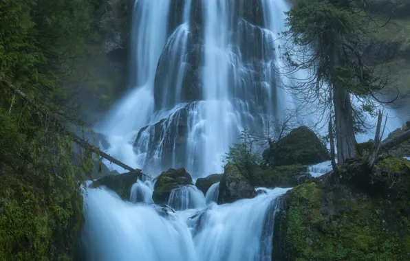 Картинка деревья, камни, водопад, каскад, Washington, штат Вашингтон, Columbia River Gorge, Falls Creek Falls