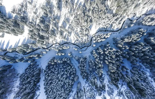 Картинка зима, лес, река