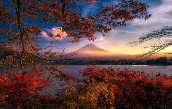 Картинка осень, пейзаж, закат, ветки, природа, гора, красота