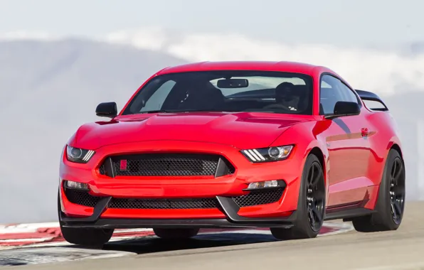 Картинка GT350R, Shelby, 2015, Mustang