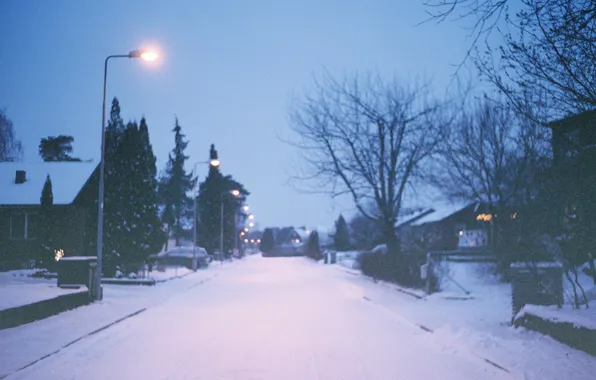 Картинка зима, свет, деревья, улица, дома, фонарь пост