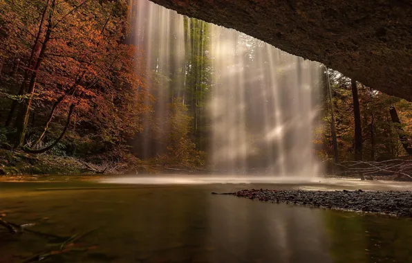 Forest, autumn, waterfall