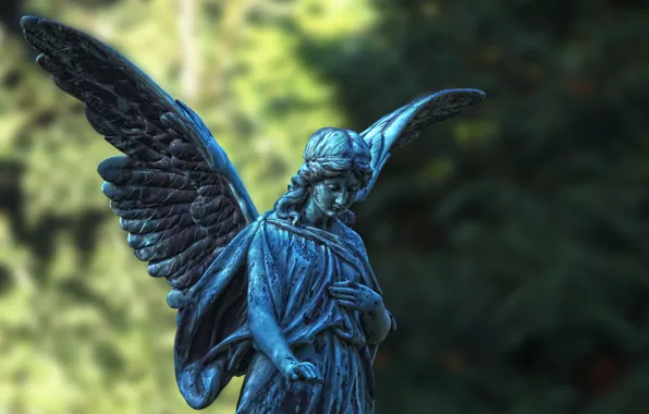 Картинка крылья, ангел, статуя