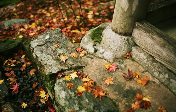 Картинка осень, листья, камни