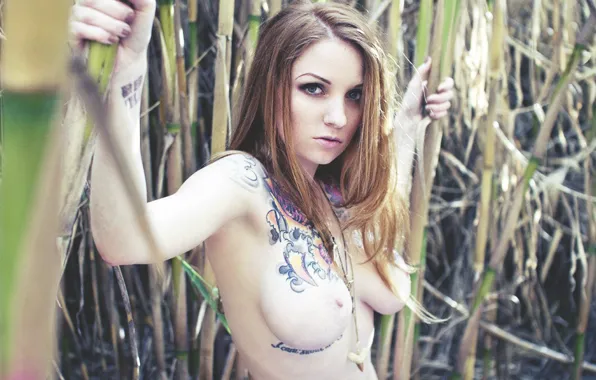 Девушка, тростник, тату, girl, tattoo, out door