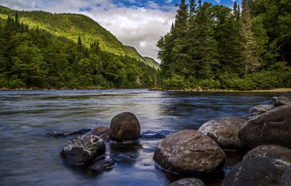 Картинка лес, облака, деревья, горы, река, камни, Канада, Quebec