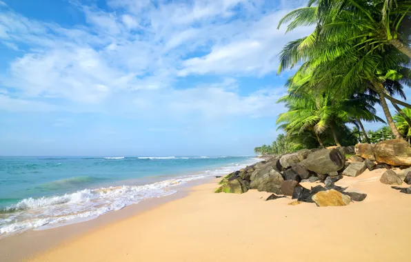 Песок, море, пляж, пальмы, берег, summer, beach, sea