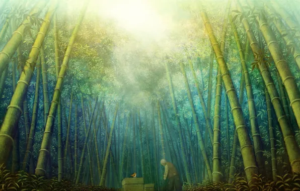 Картинка лес, листья, солнце, природа, аниме, бамбук, арт, птичка