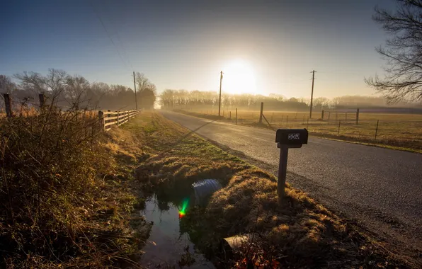 Дорога, пейзаж, туман, утро