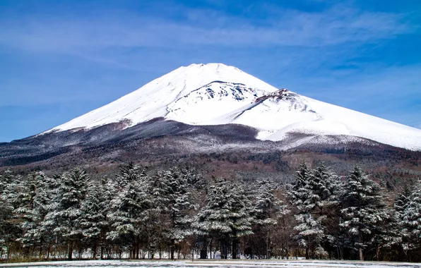 Картинка деревья, пейзаж, гора, вулкан, Япония, Fuji