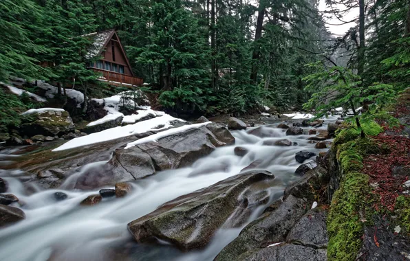 Картинка лес, деревья, дом, река, камни, каскад, Washington State, Штат Вашингтон