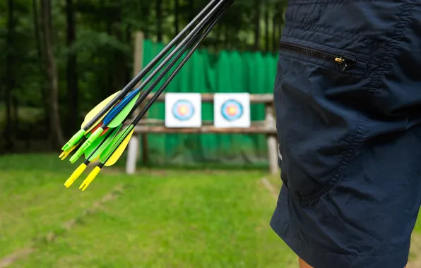Arrows, archery, target
