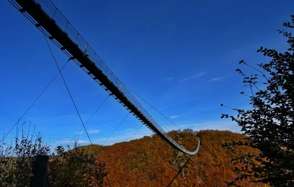 Deutschland, Geierlay, Hängebrücke, Hängeseinbrücke, Hunsrück