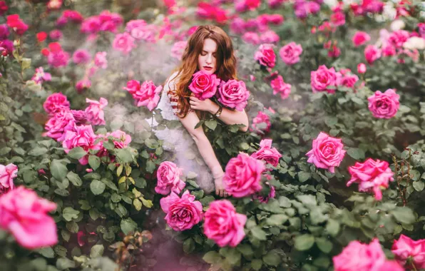 Картинка девушка, цветы, розы, Кристина Макеева