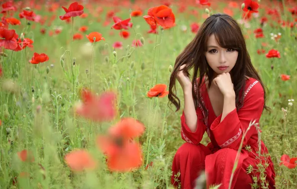 Поле, лето, взгляд, лицо, модель, волосы, мак
