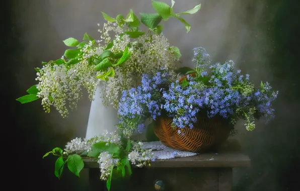 Листья, цветы, букет, весна, голубые, тумбочка, ваза, белые