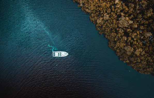 Вода, Море, Деревья, Яхта, Берег, Сверху, Речка, Вид сверху