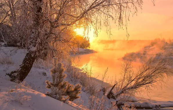 Зима, солнце, снег, деревья, природа, рассвет, речка