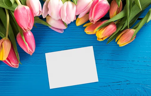 Картинка цветы, букет, colorful, тюльпаны, wood, romantic, tulips, spring